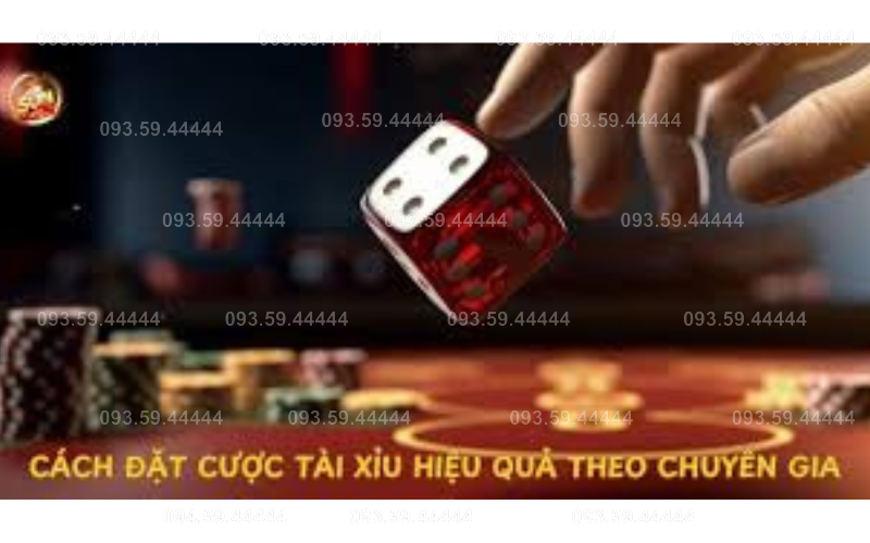 Phần Mềm Tìm Quy Luật Chơi Game Tài Xỉu Trên Điện Thoại Giúp Anh Em Lâm Đồng Chiến Thắng